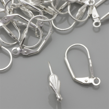 Bigle angielskie muszelki 20mm