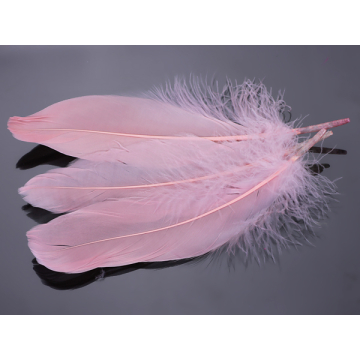 Pióra naturalne barwione koloru blado różowego 10-16cm