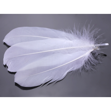 Pióra naturalne barwione koloru białego 10-16cm