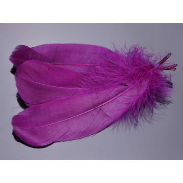 Pióra naturalne barwione koloru purpurowy 10-16cm