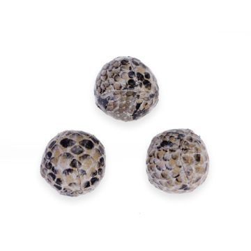 Kulka drewniana piaskowy wąż 16mm