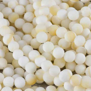 Masa perłowa kulka gładka matowa krem bananowy 8mm Masa perłowa kulka gładka matowa krem bananowy 8mm