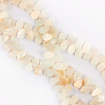 Muszla cięta łezka 12mm Muszla cięta łezka 12mm