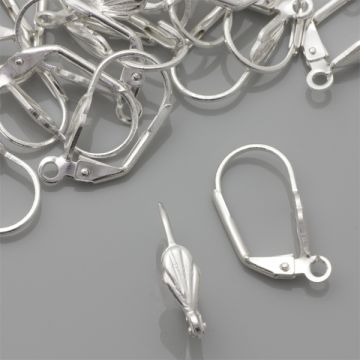 Bigle angielskie muszelki 20mm