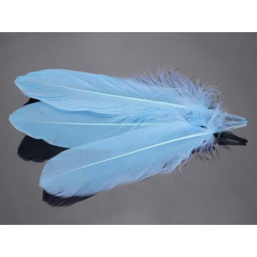 Pióra naturalne barwione koloru błękitnego 10-16cm