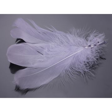 Pióra naturalne barwione koloru szarego 10-16cm