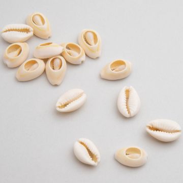 Muszle naturalne Kauri cięte 18-20mm Muszle naturalne Kauri cięte 18-20mm