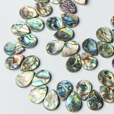 Muszla paua łezka 13x18mm